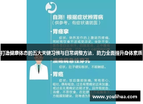 打造健康体态的五大关键习惯与日常调整方法，助力全面提升身体素质